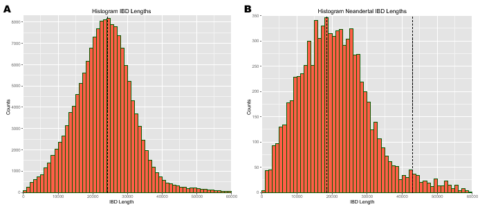 \begin{figure}\begin{center}
\centering
\includegraphics[width=0.49\textwidth]{/...
...nkage/paper/manuscripts/eps/IBDlengthHistogramNeander}
\end{center}
\end{figure}