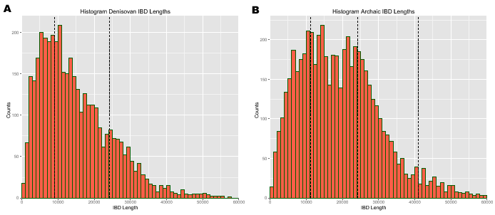 \begin{figure}\begin{center}
\centering
\includegraphics[width=0.49\textwidth]{/...
...nkage/paper/manuscripts/eps/IBDlengthHistogramArchaic}
\end{center}
\end{figure}