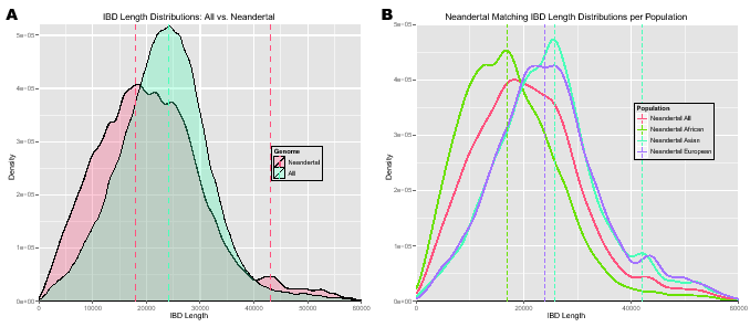 \begin{figure}\centering
\includegraphics[width=0.48\textwidth]{/system/user/hoc...
...hochreit/linkage/paper/manuscripts/eps/IBDlengthDensityNeanderPop}\end{figure}