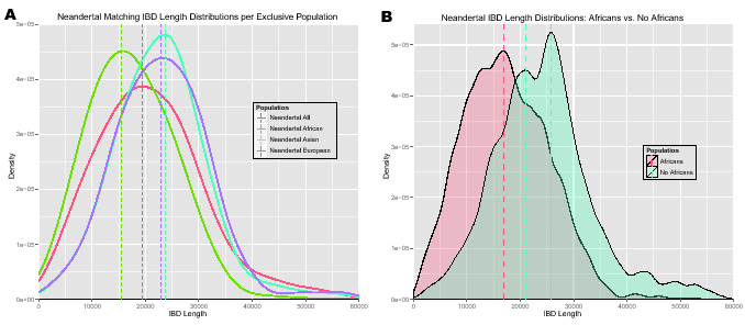 \begin{figure}\centering
\includegraphics[width=0.48\textwidth]{/system/user/hoc...
...e/paper/manuscripts/eps/IBDlengthDensityNeandertalAfrica-NoAfrica}\end{figure}