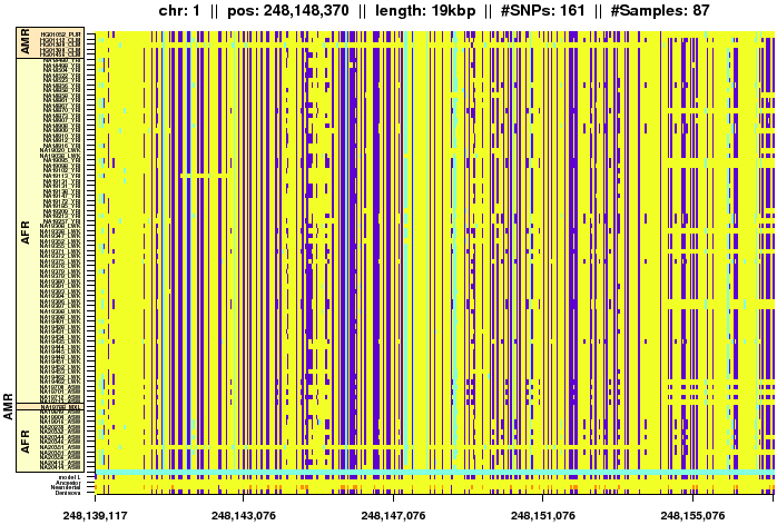 \begin{figure*}\centering
\includegraphics[width=\textwidth]{/system/user/hochreit/linkage/paper/manuscripts/eps/denisova2}\end{figure*}