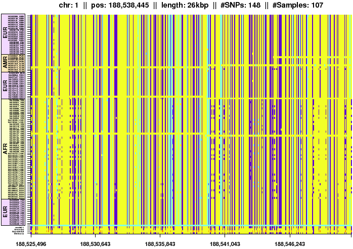 \begin{figure*}\centering
\includegraphics[width=\textwidth]{/system/user/hochreit/linkage/paper/manuscripts/eps/denisova3}\end{figure*}