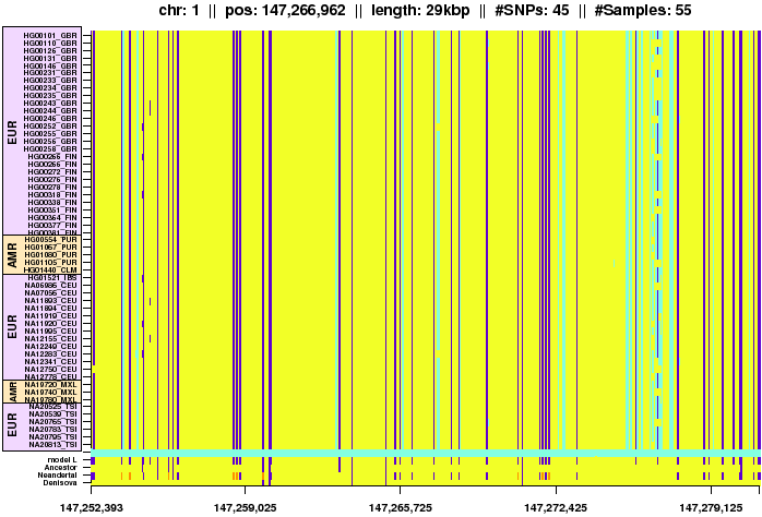 \begin{figure*}\centering
\includegraphics[width=\textwidth]{/system/user/hochreit/linkage/paper/manuscripts/eps/neandertal1}\end{figure*}