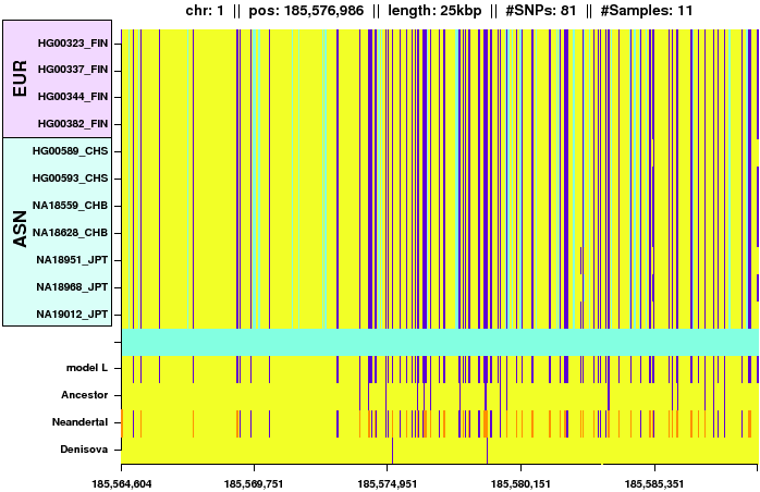 \begin{figure*}\centering
\includegraphics[width=\textwidth]{/system/user/hochreit/linkage/paper/manuscripts/eps/neandertal2}\end{figure*}